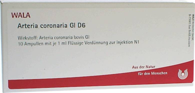 ARTERIA CORONARIA GL D 6 Ampullen