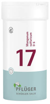 BIOCHEMIE Pflüger 17 Manganum sulfuricum D 6 Tabl.