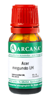 ACER negundo LM 15 Dilution