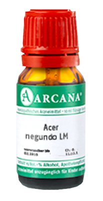 ACER negundo LM 24 Dilution