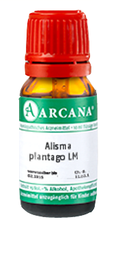 ALISMA plantago LM 4 Dilution