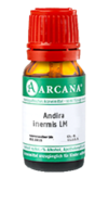 ANDIRA inermis LM 26 Dilution